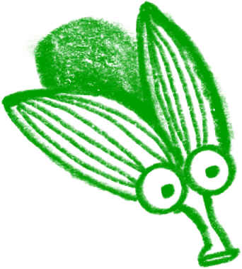 жук