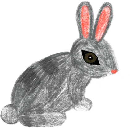 кролик